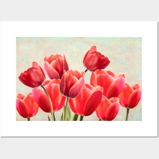 Ruby Red Tulips Posters and Art